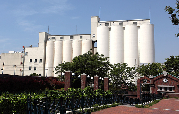 増田製粉所 社屋