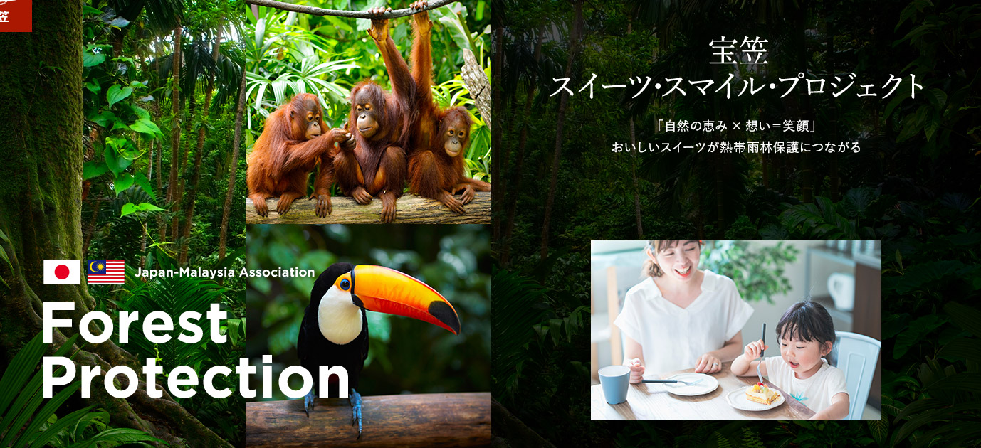 宝笠スイーツ・スマイル・プロジェクト おいしいスイーツが熱帯雨林保護につながる